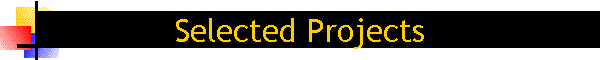 Selected Projects